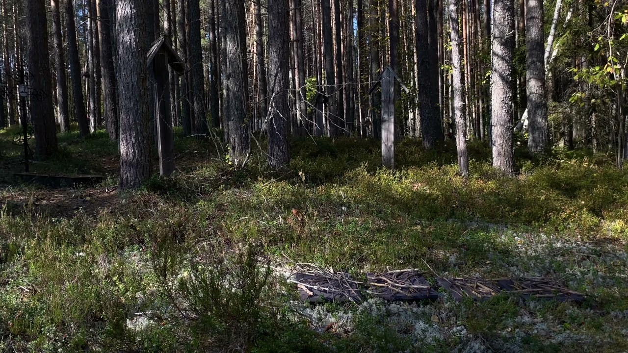 СВИДЕТЕЛИ. Photographer Olya Pegova | Фотограф Оля Пегова