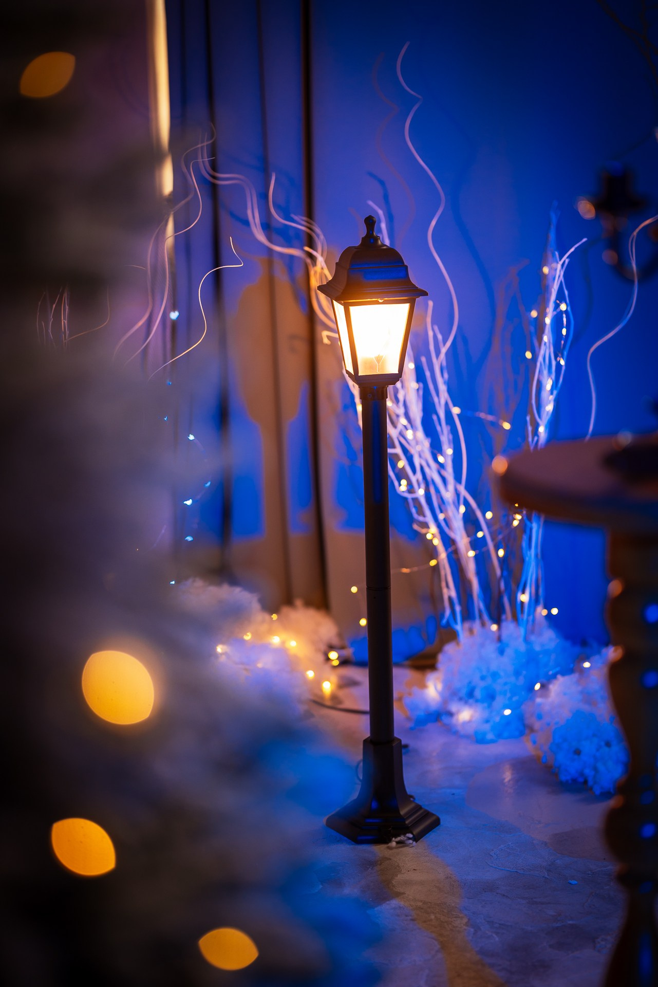 Фотостудия интерьерная в Туле — Давинчи |Davinci