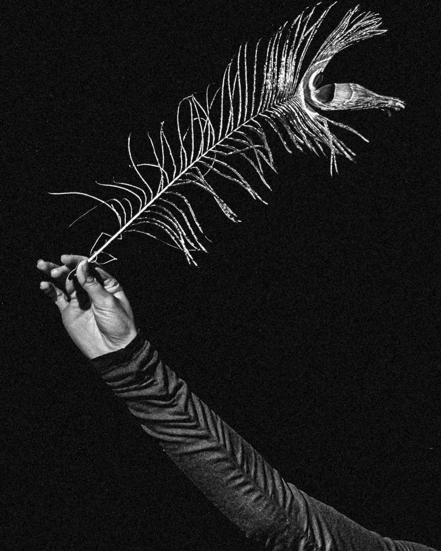 Path inside the pomegranate (2025). Multidisciplinary Artist and Filmmaker Sofia Melikova