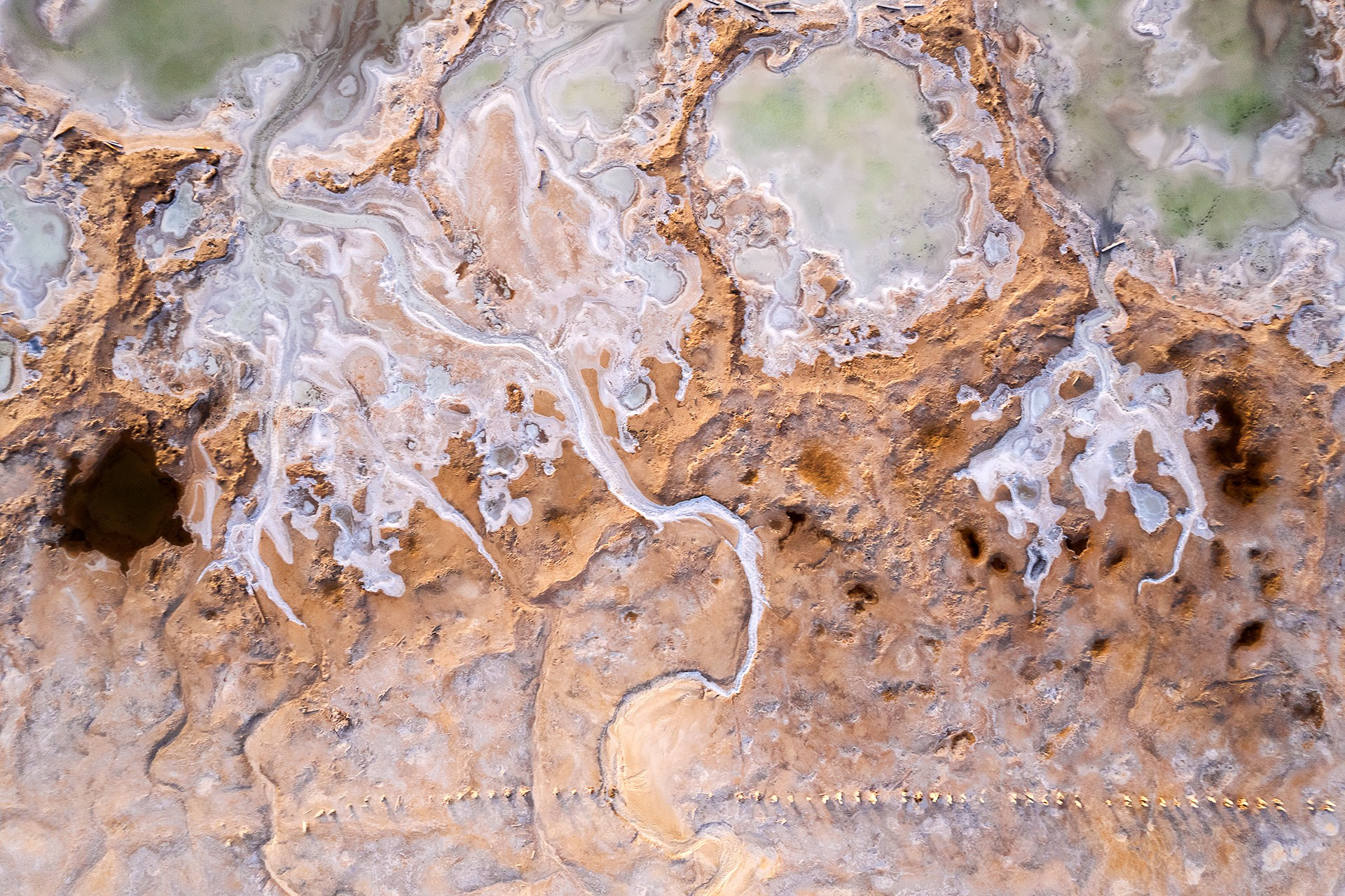 Волгоградская и астраханская области Весна 2026 | Фотограф Дмитрий Купрацевич. Дмитрий Купрацевич профессиональный пейзажный и travel-фотограф