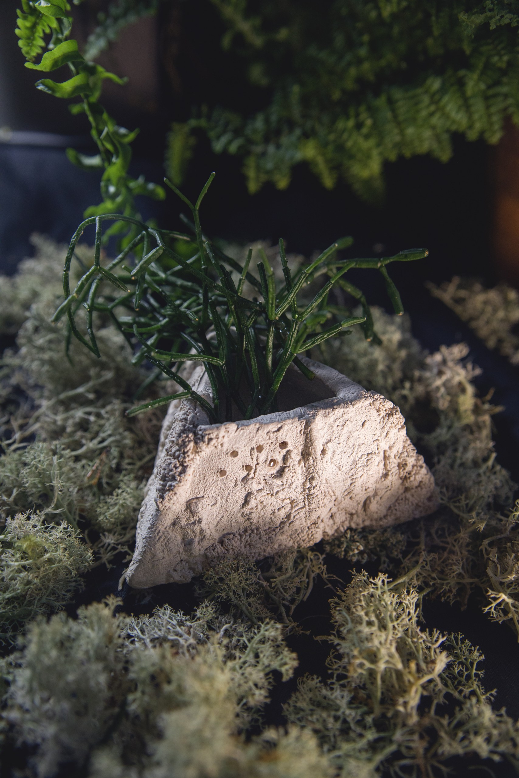 Керамика. Катя Цвет