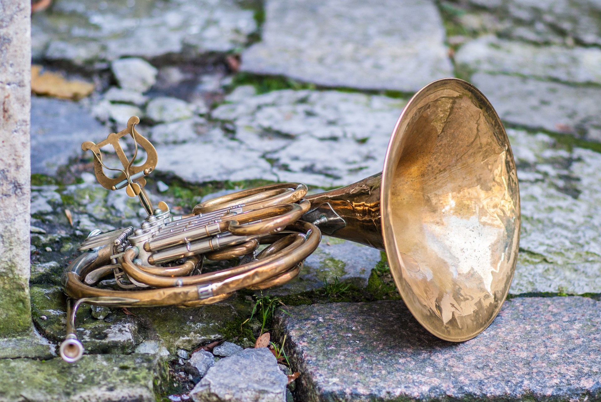 Worldwide Photo Walk | Riga, Latvia. Shanti Alex Art