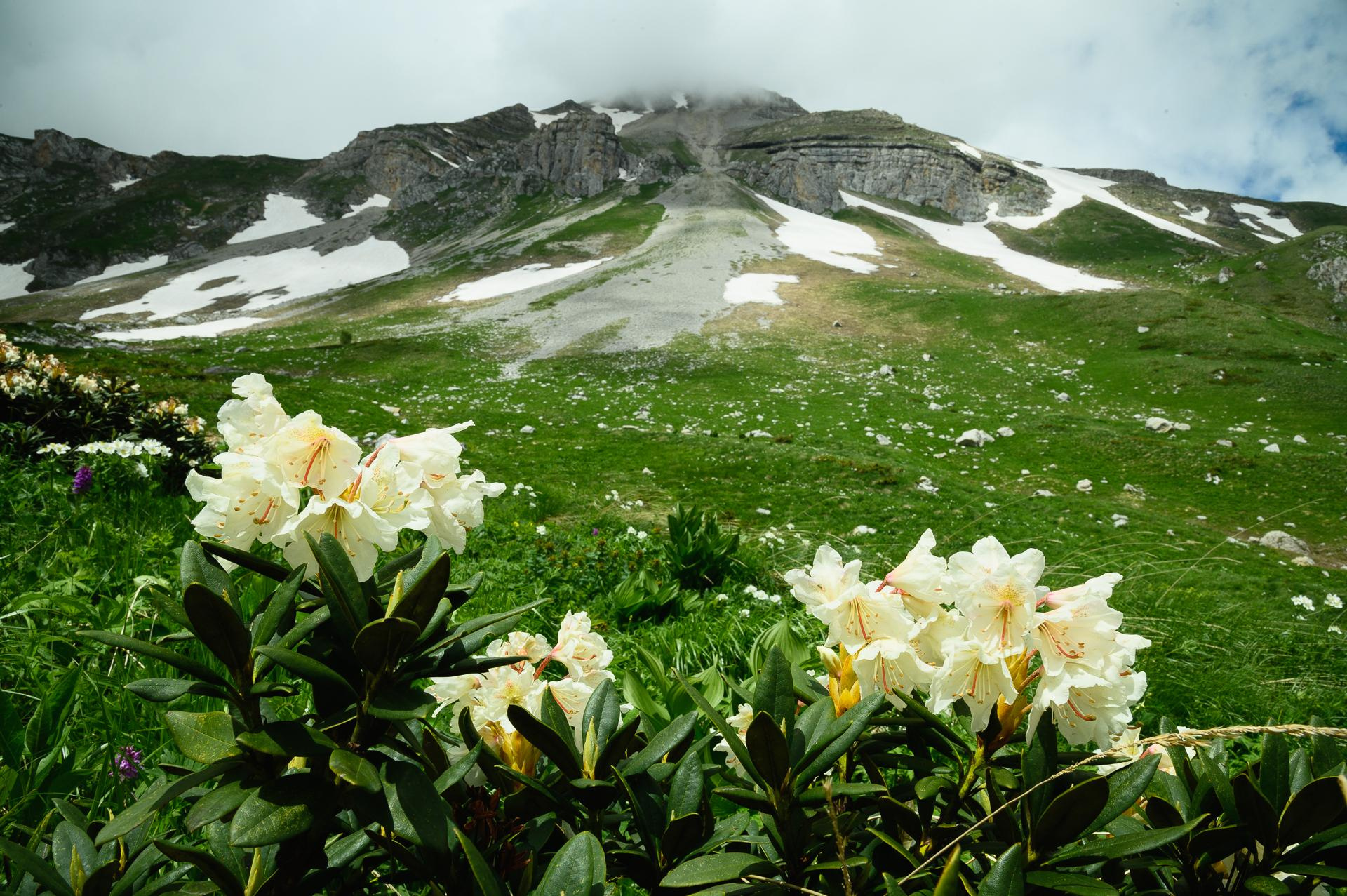 Фотопоход в Адыгее