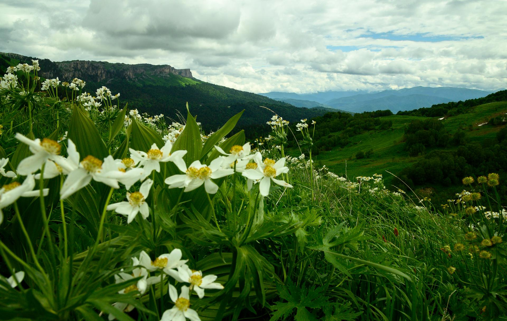Фотопоход в Адыгее