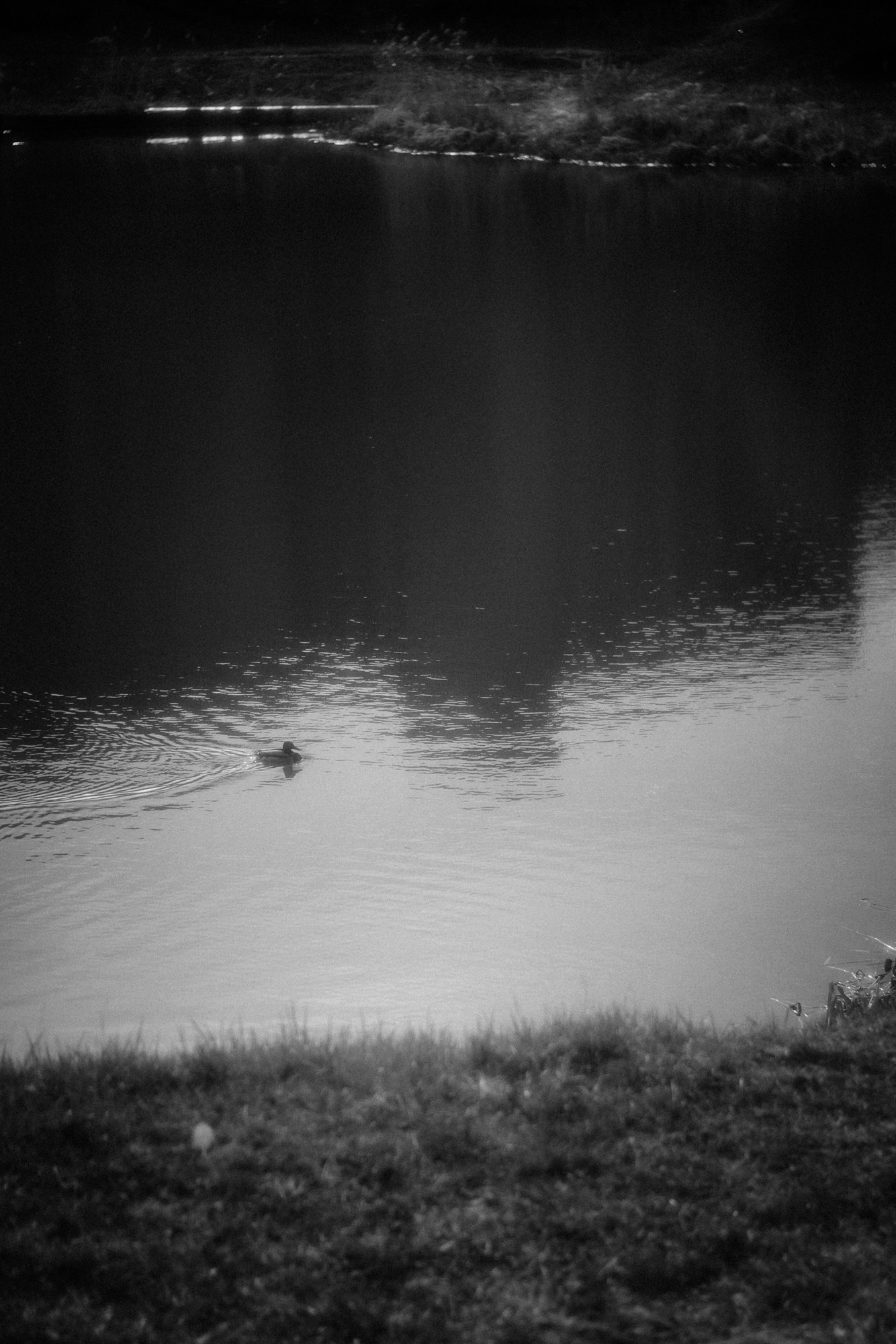 Фотограф в Тюмени Дарья Мустафина Портретная серия «Берег и тишина». Портретный фотограф Тюмень Дарья Мустафина