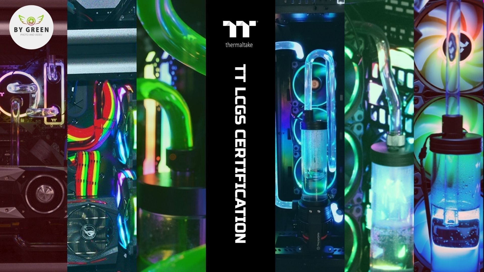 Мероприятия. ByGreenOrg и красивые фотографии