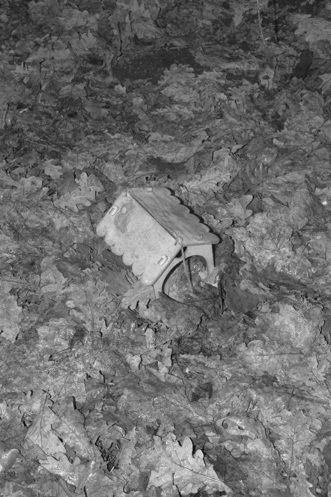 When you leave us, I'll live in your room. Maria Pilkevich