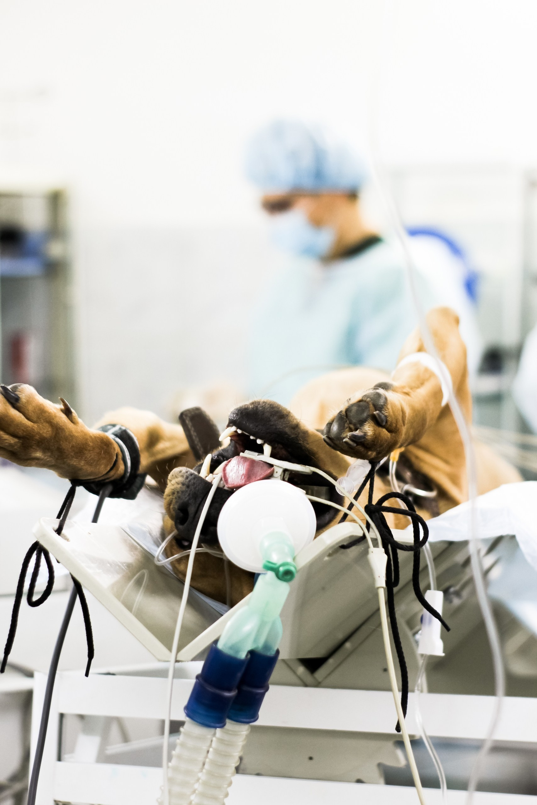 Контент съемка и предметная съемка для продвижения услуг бизнеса. Студия контента «СВОЕ МЕСТО»