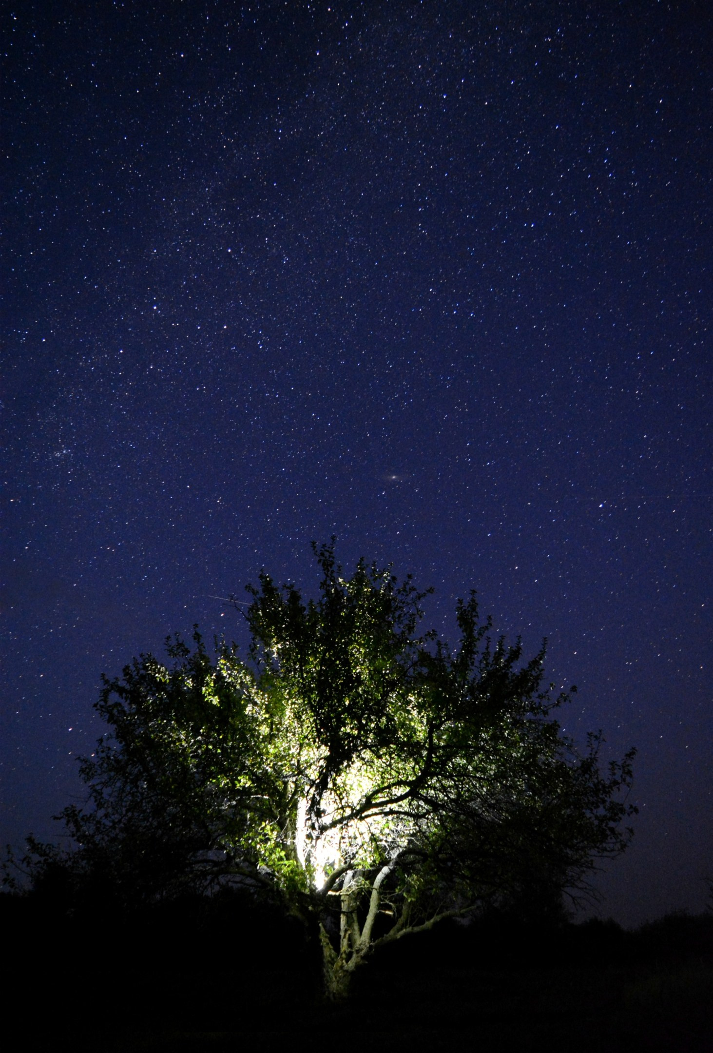 Пейзажная съемка ночной природы
