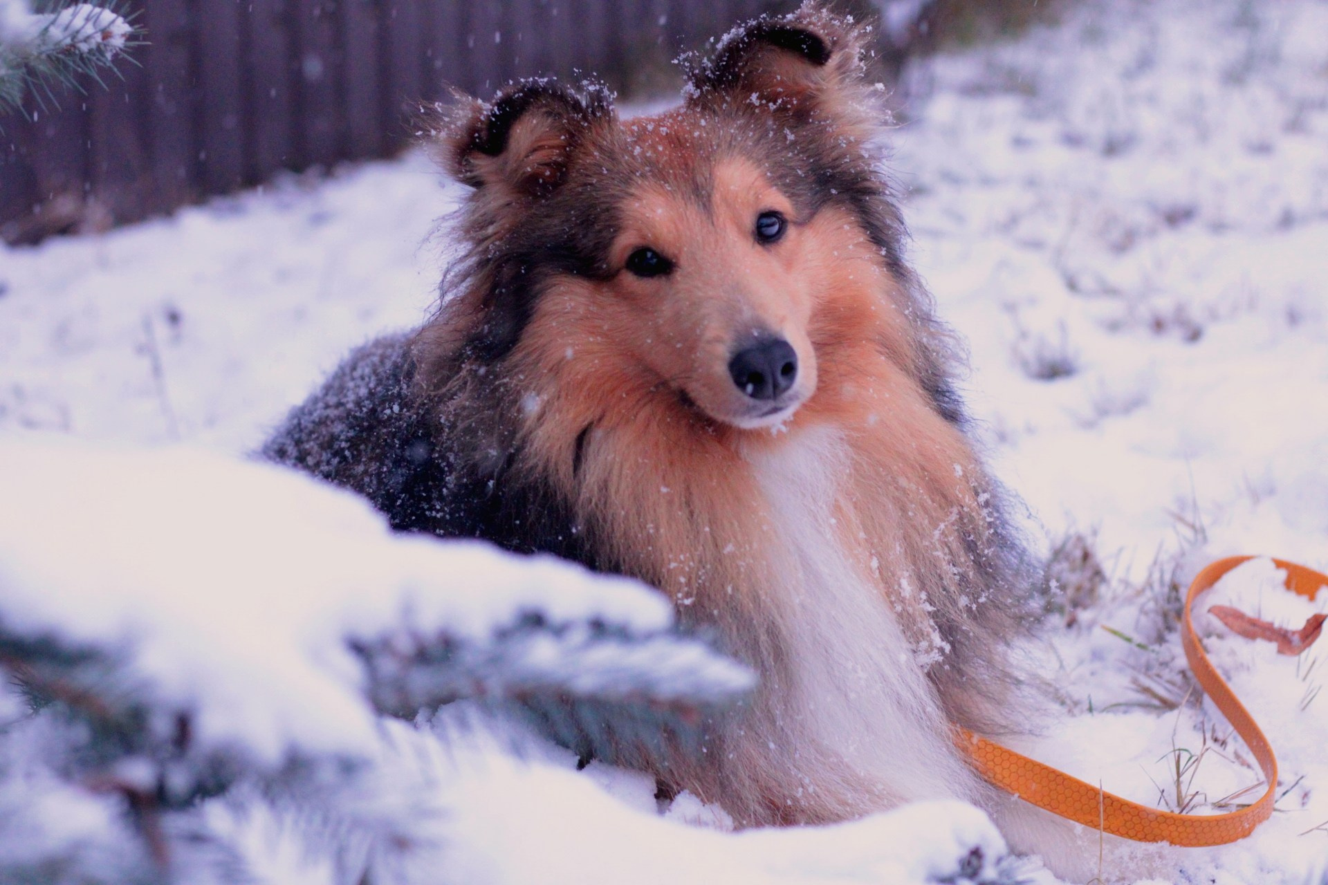 Катя Попова|ЛайфСтайл фотограф