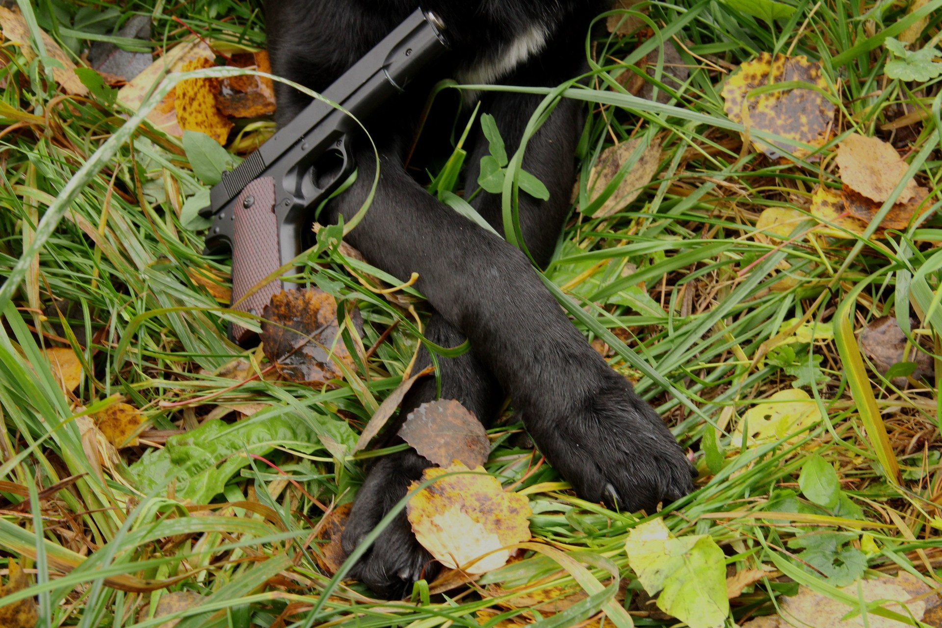 Катя Попова|ЛайфСтайл фотограф