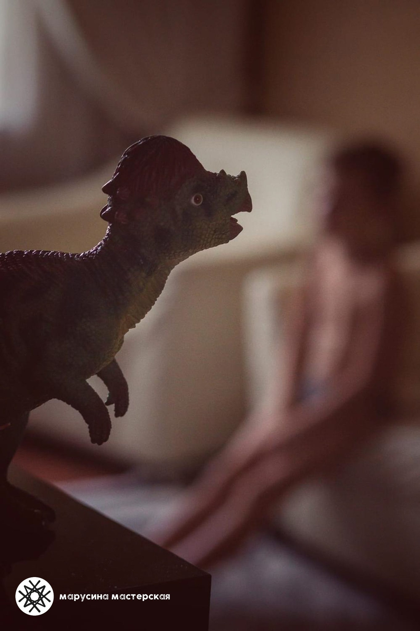 Учебная работа по построению кадра