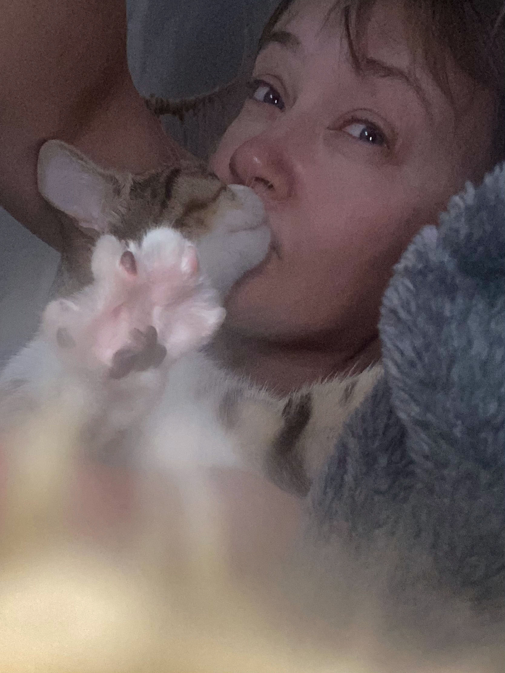 Пушистые. Наталья Орешина документальный и арт-фотограф из Санкт-Петербурга