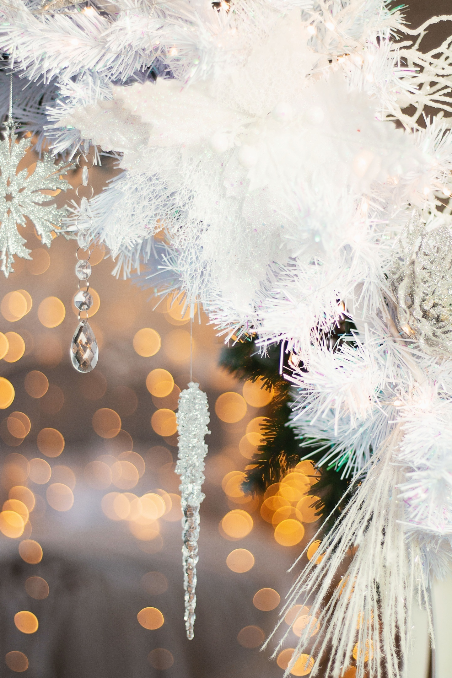 El-leon 2020. Фотограф Ижевск Филипп Усков