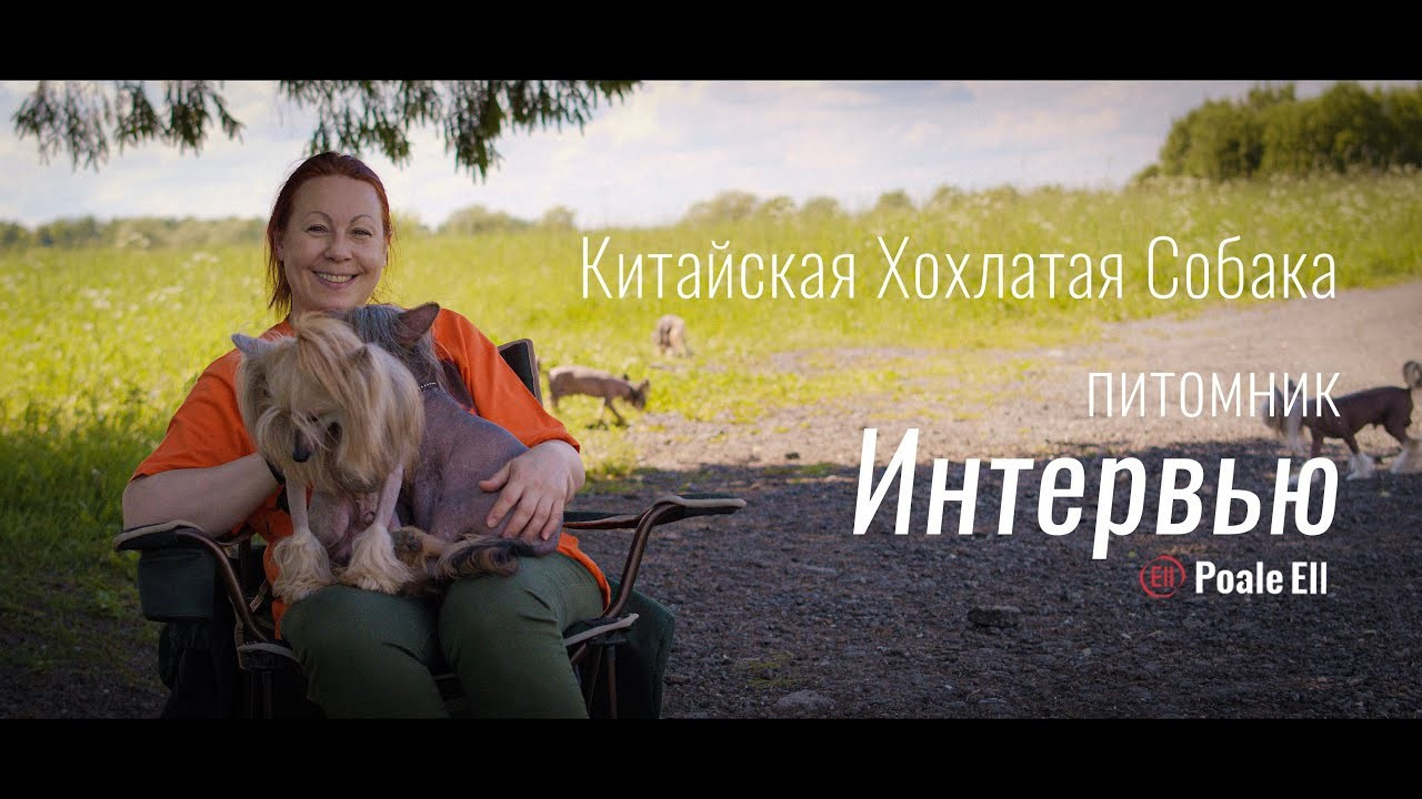 Chinese Crested Dog Kennel Poale Ell