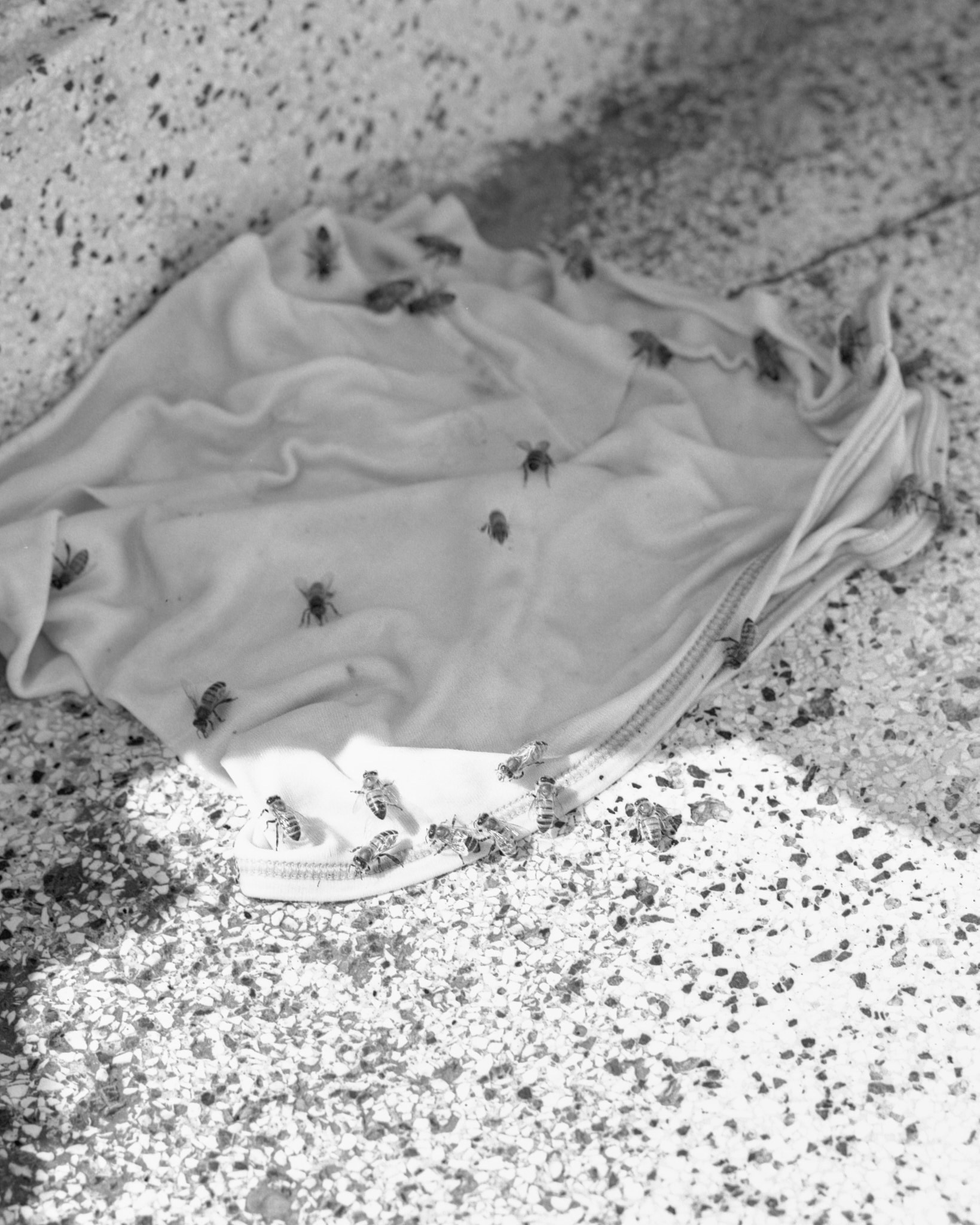 Проект «Borderland» Филиппо Барберо (Filippo Barbero). Private image