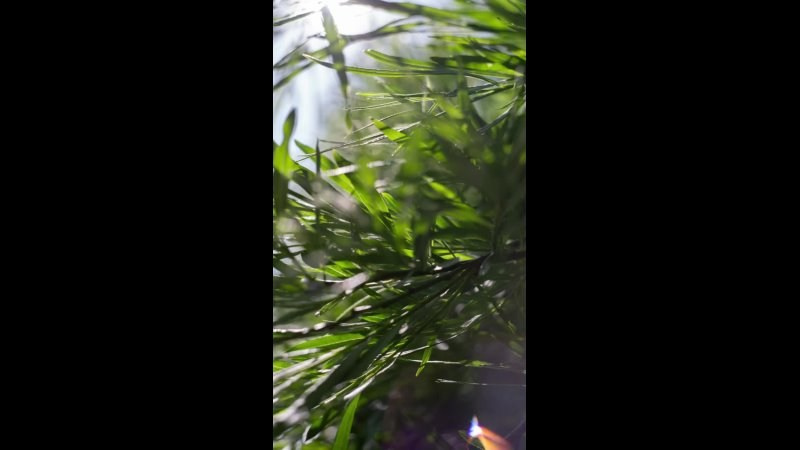 «Голливудская» связка Sony A7 III и Гелиос 44-2. Юля Дэй • Фотограф, Санкт-Петербург