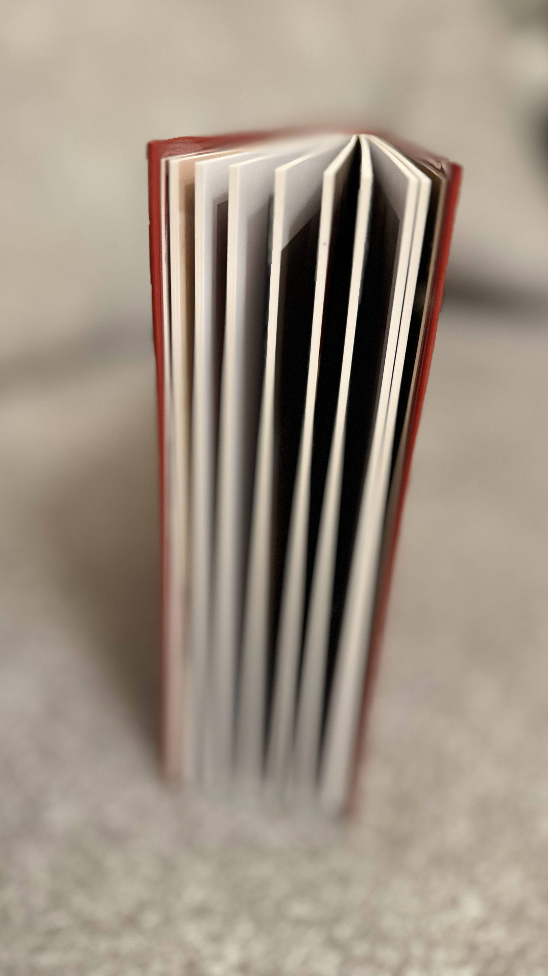 Создание и верстка фотокниг с фотосессий