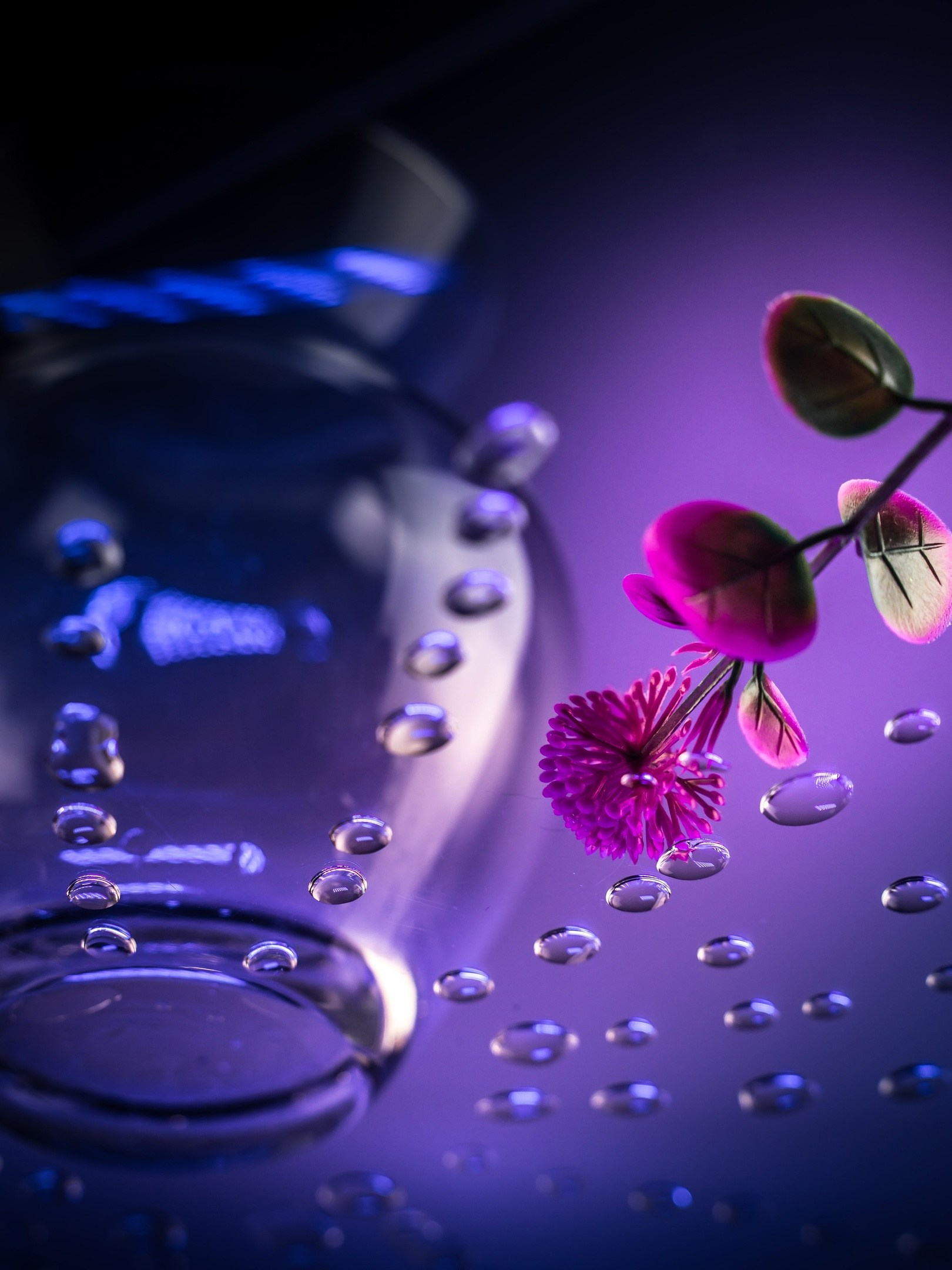 Рекламная съемка. Предметный фотограф в Воронеже Дмитрий Игнатов