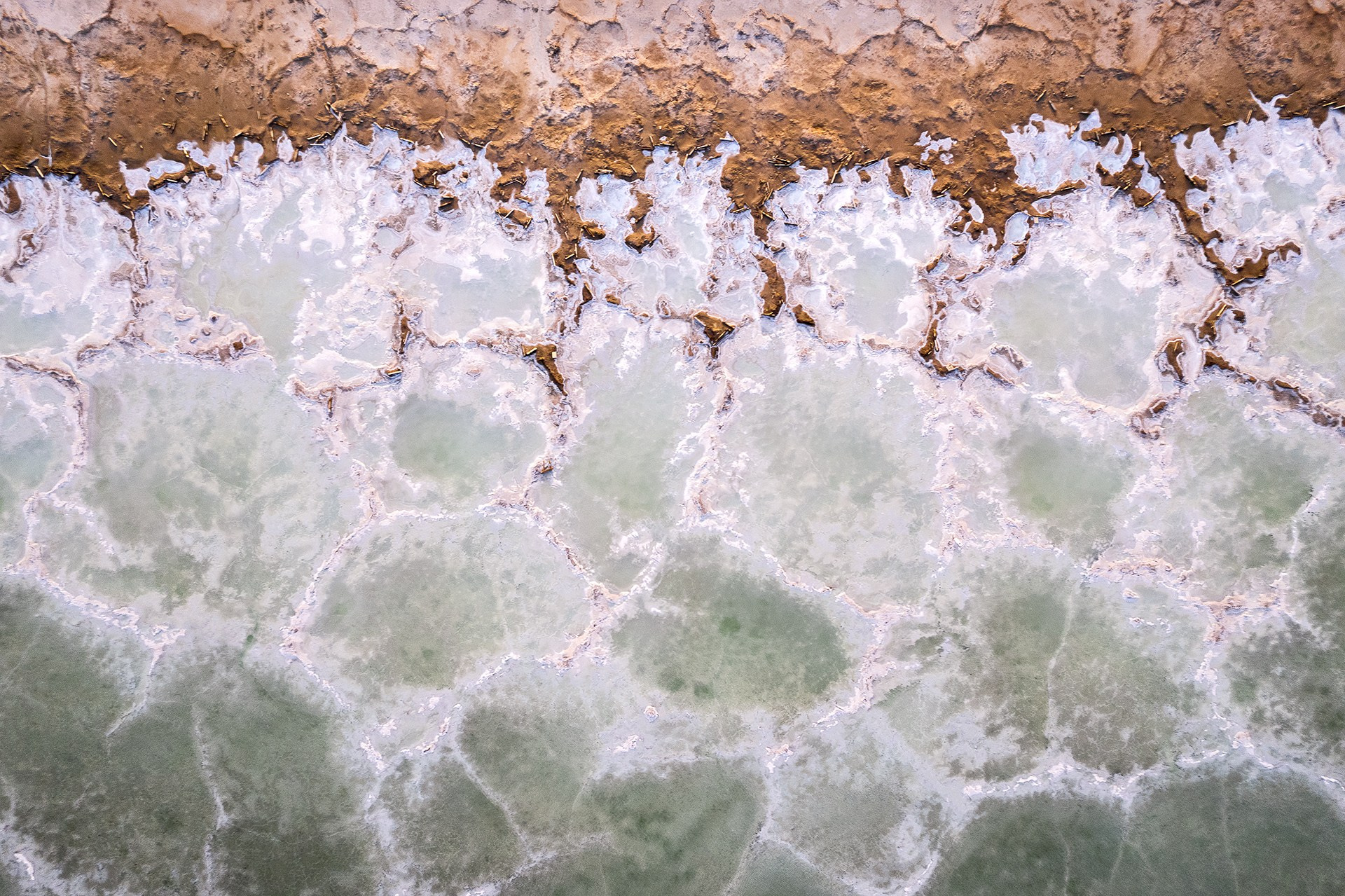 Волгоградская и астраханская области Весна 2026 | Фотограф Дмитрий Купрацевич. Дмитрий Купрацевич профессиональный пейзажный и travel-фотограф