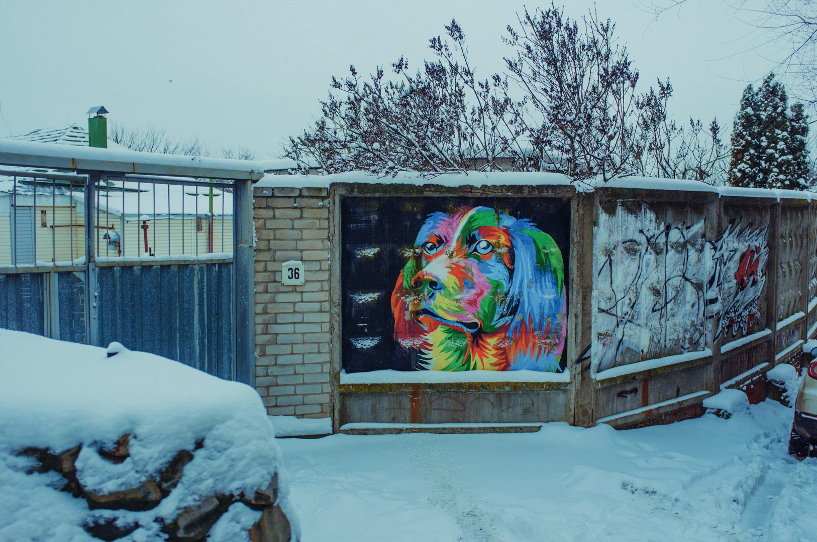 Зима уходящая. Руслан Шувалов (поэтограф)