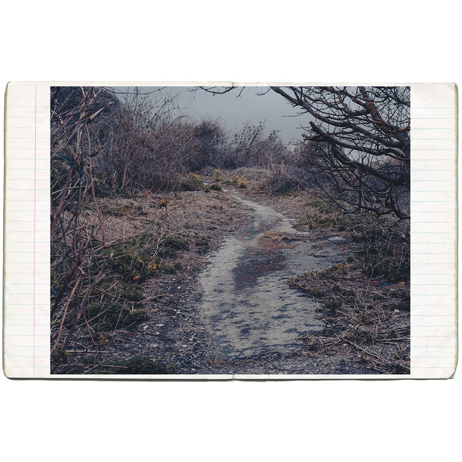 Книга Дон Роджерс (Dawn Rodgers) «Sorrow». Private image