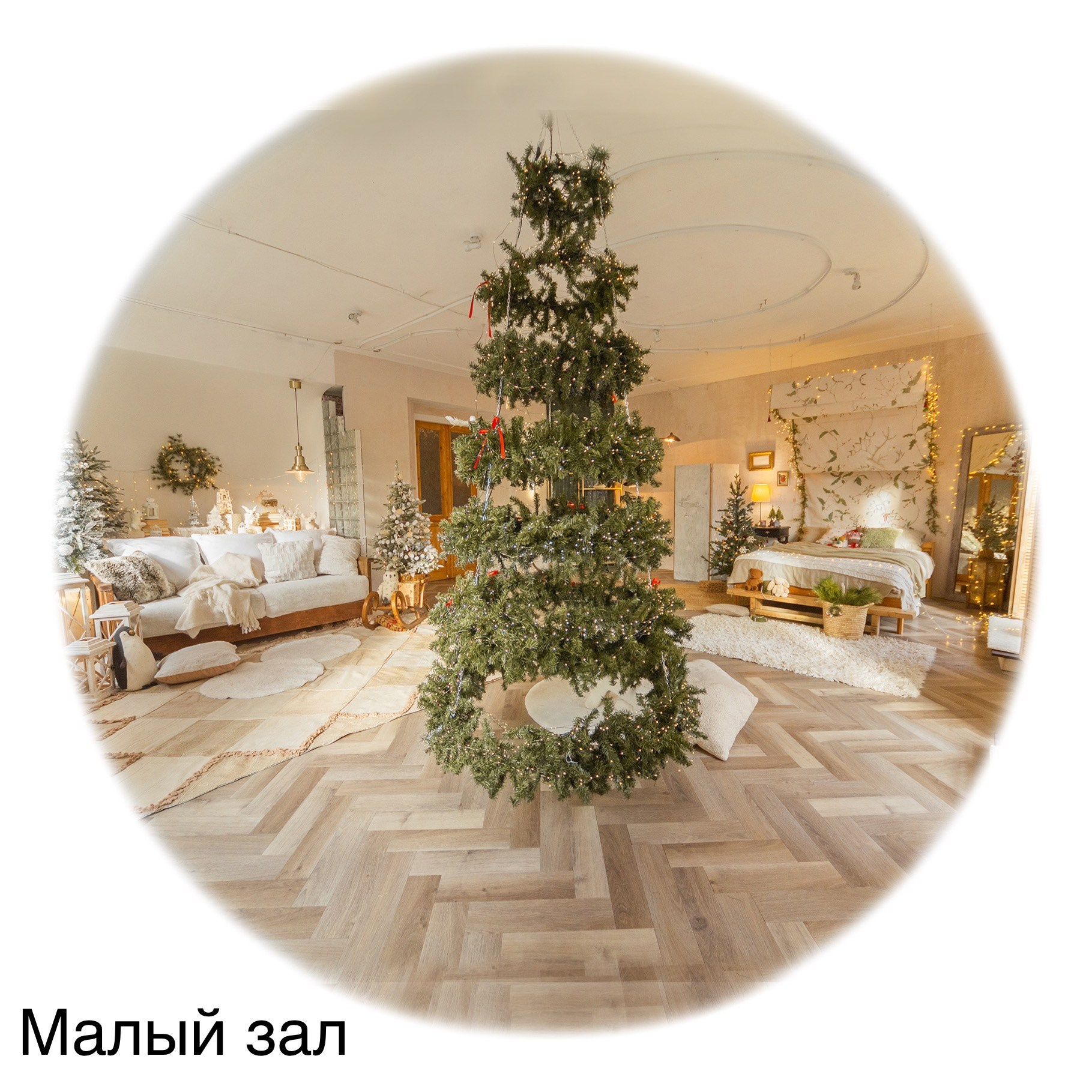 Фотостудии. Евгений Щетников Фотограф-Тюмень