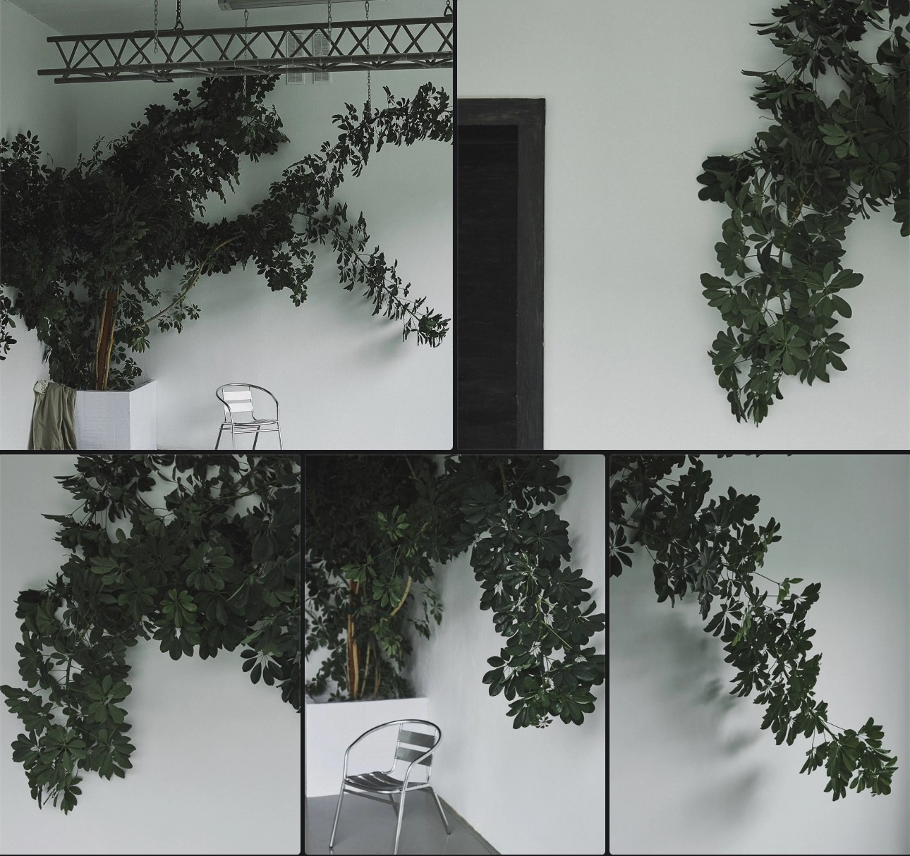 Фотостудии Мурманск. Фотограф Мурманск | Нижний Новгород • Анна Хижняк