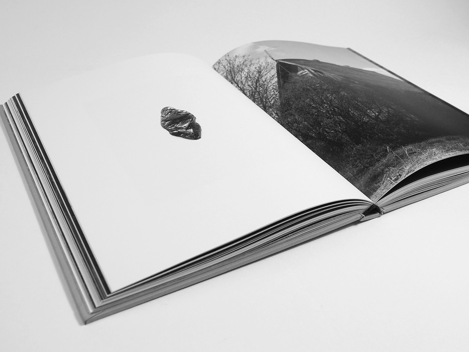 The voice of cold water. Vika Bykovskaya photography