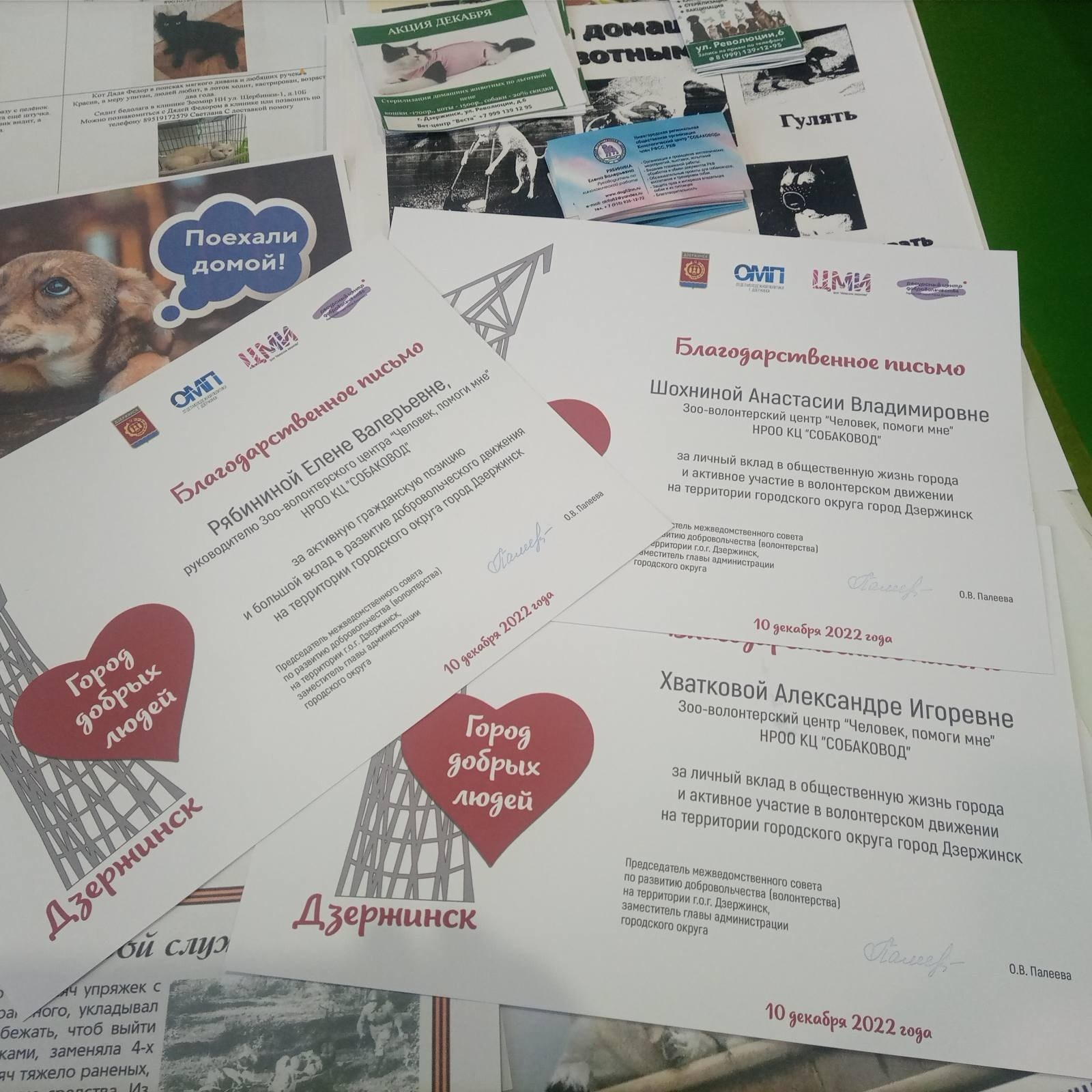 Фестиваль «Город добрых людей». НРОО КЦ "Собаковод"