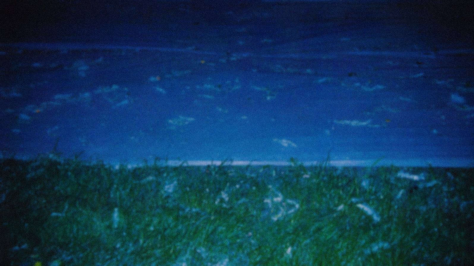 ПОД НАВЕСОМ. Фотограф Анна Васильева | Портретная и арт-фотография Москва