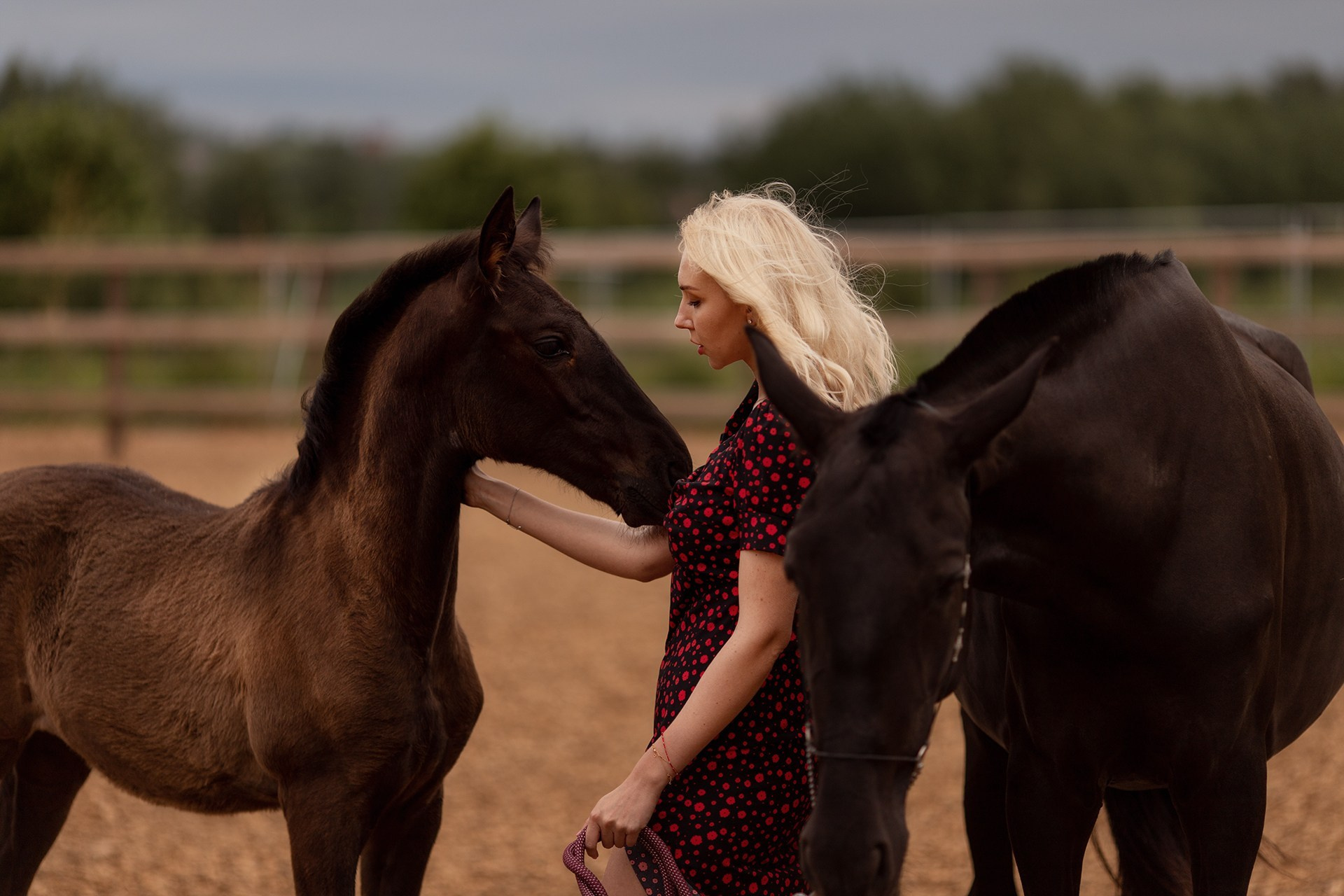 Фотосессии на лошадях в Москве и МО: конная фотосессия от фотографа Светланы Кутейниковой. Фотосессии с лошадьми в Москве от фотографа Кутейниковой Светланы