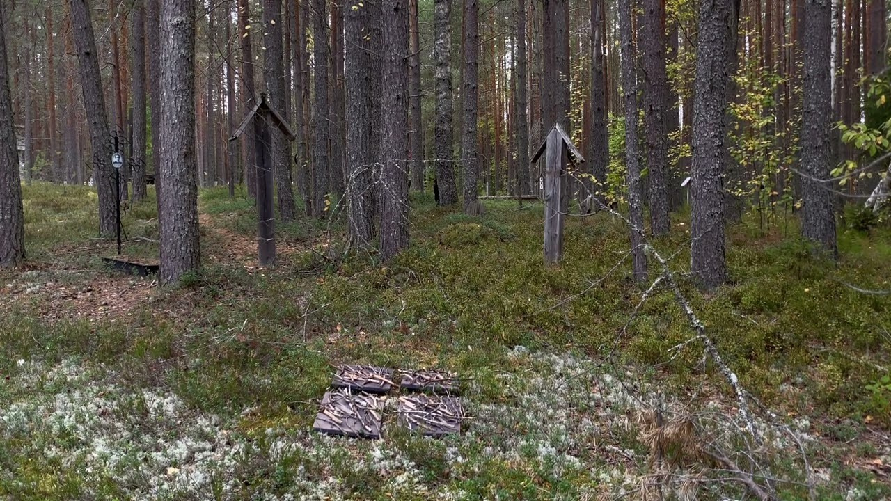 СВИДЕТЕЛИ. Photographer Olya Pegova | Фотограф Оля Пегова