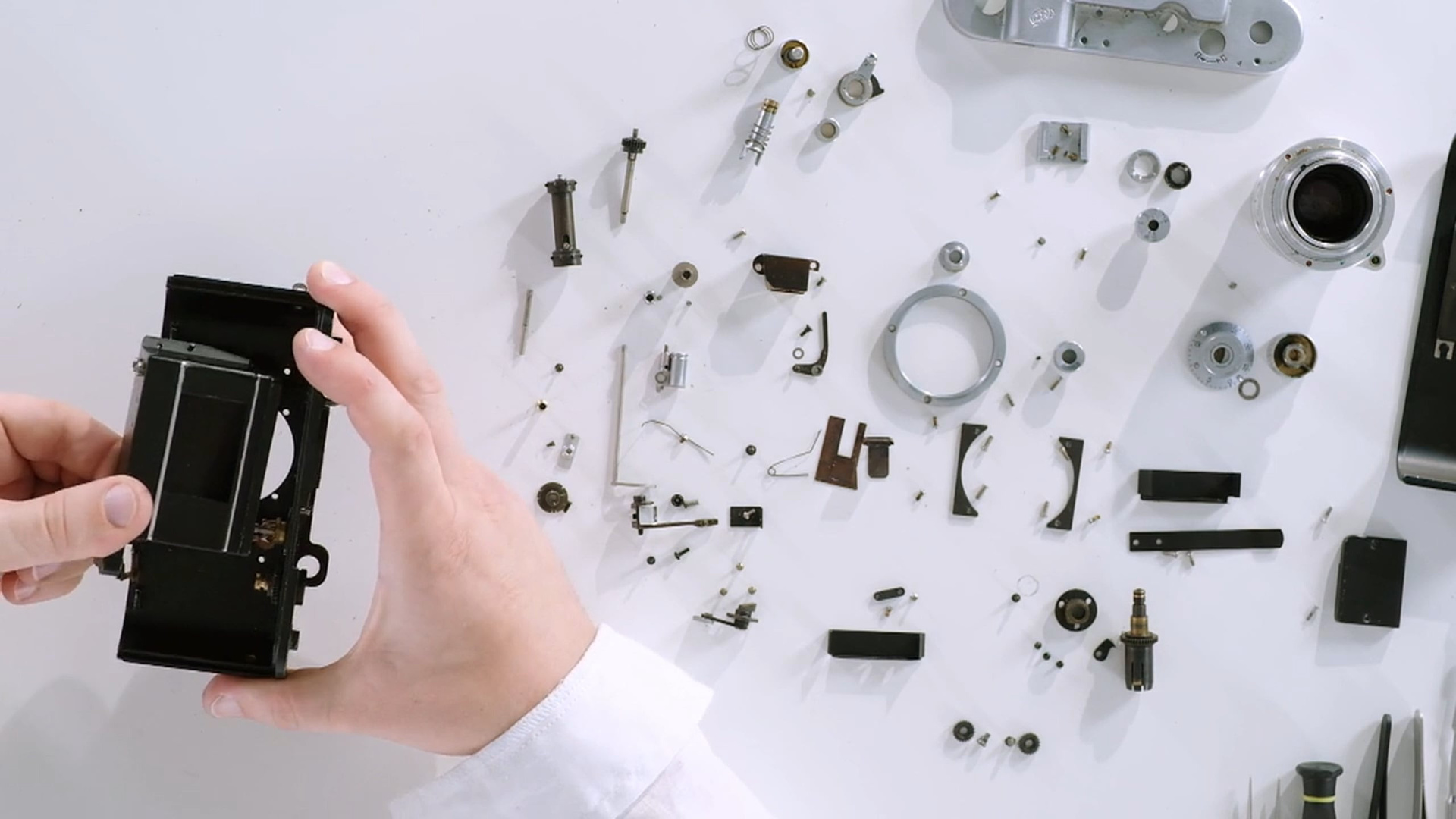 Arsenal. Anastasia Tsayder