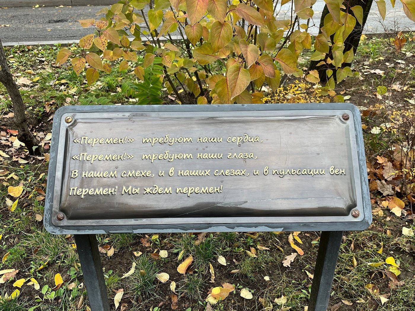 Памятник Виктору Цою в Алматы — место памяти и городской культуры