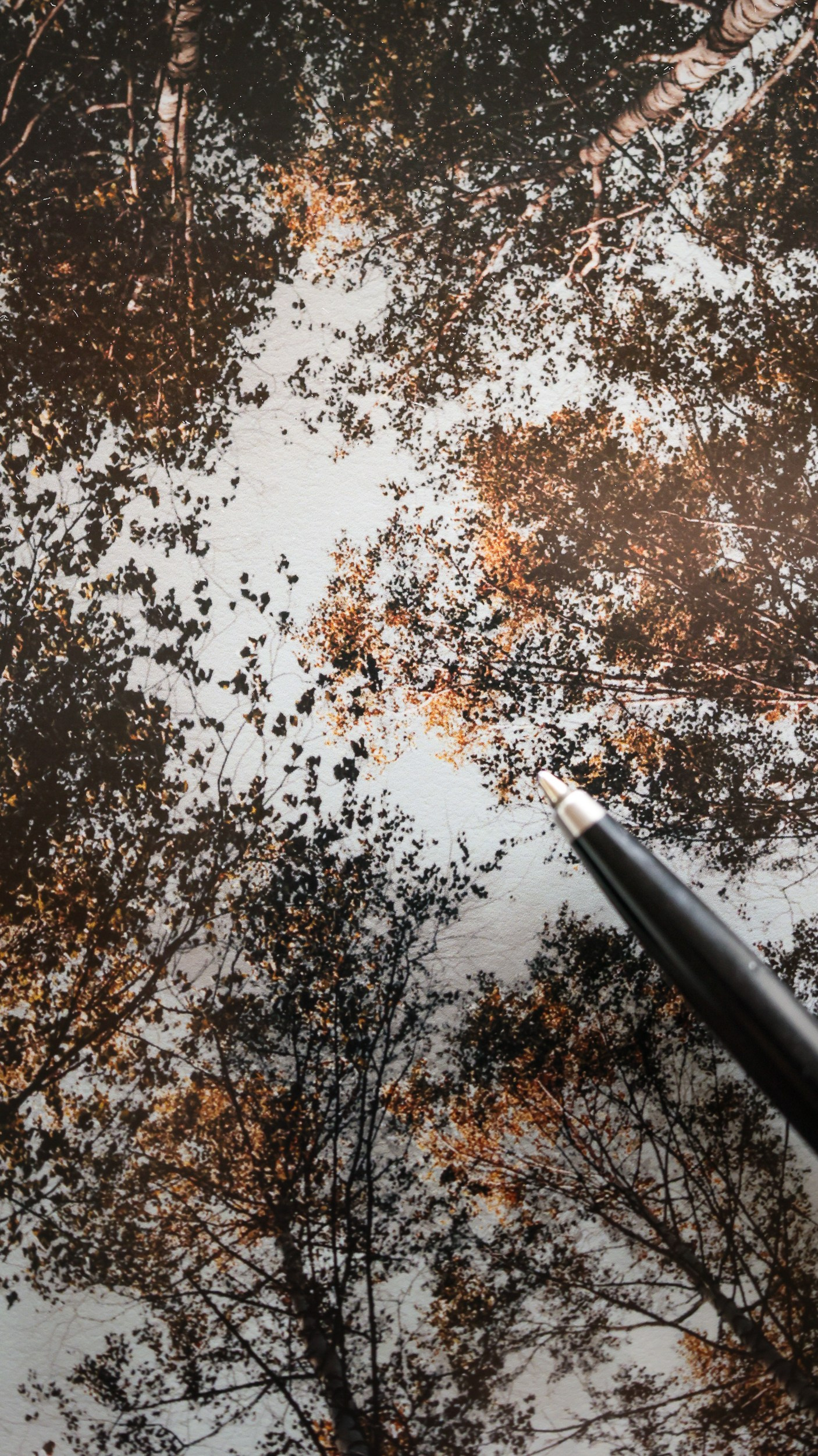 Картины. Фотограф Евграфов Александр