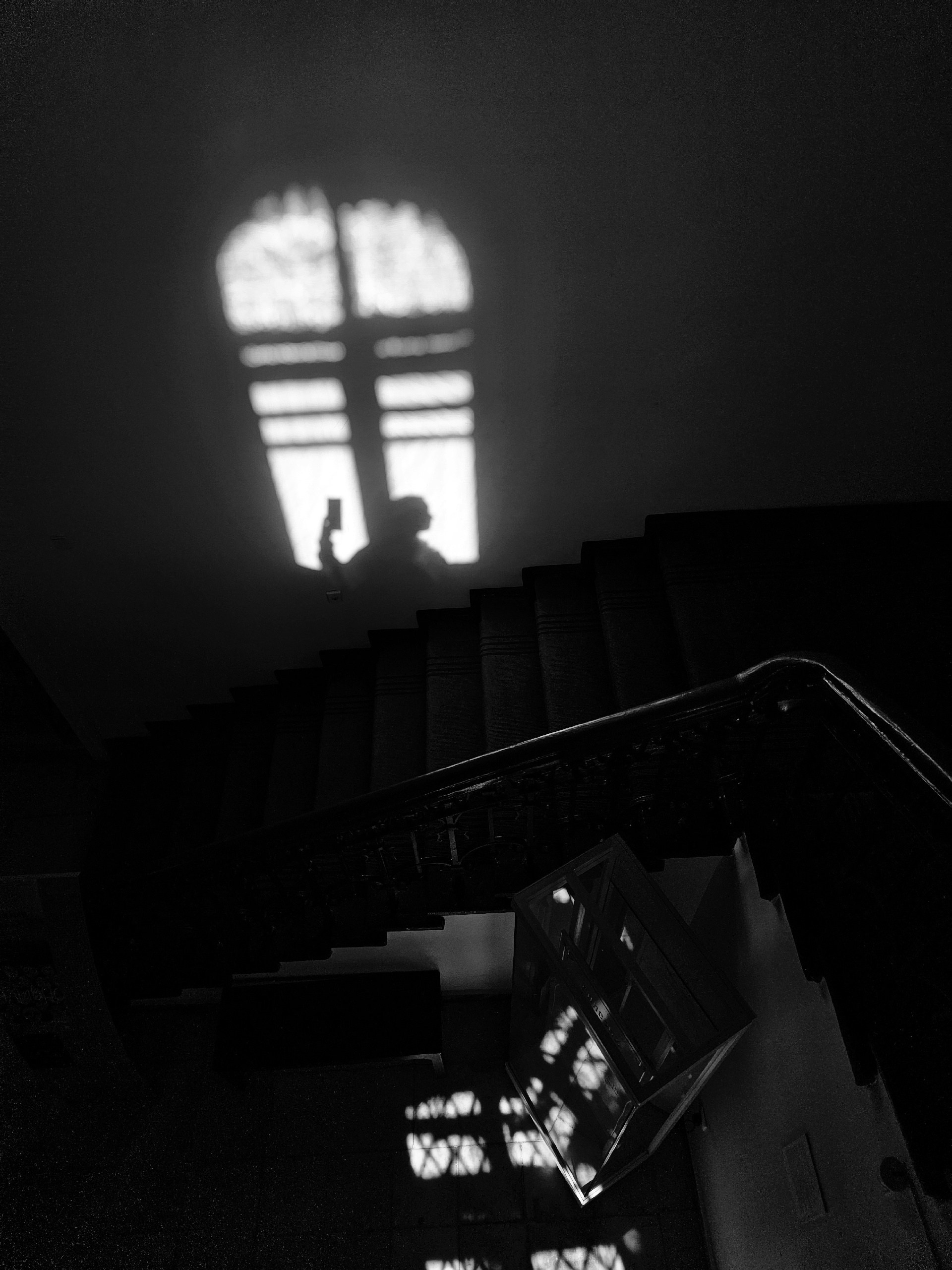 Светлана Басова