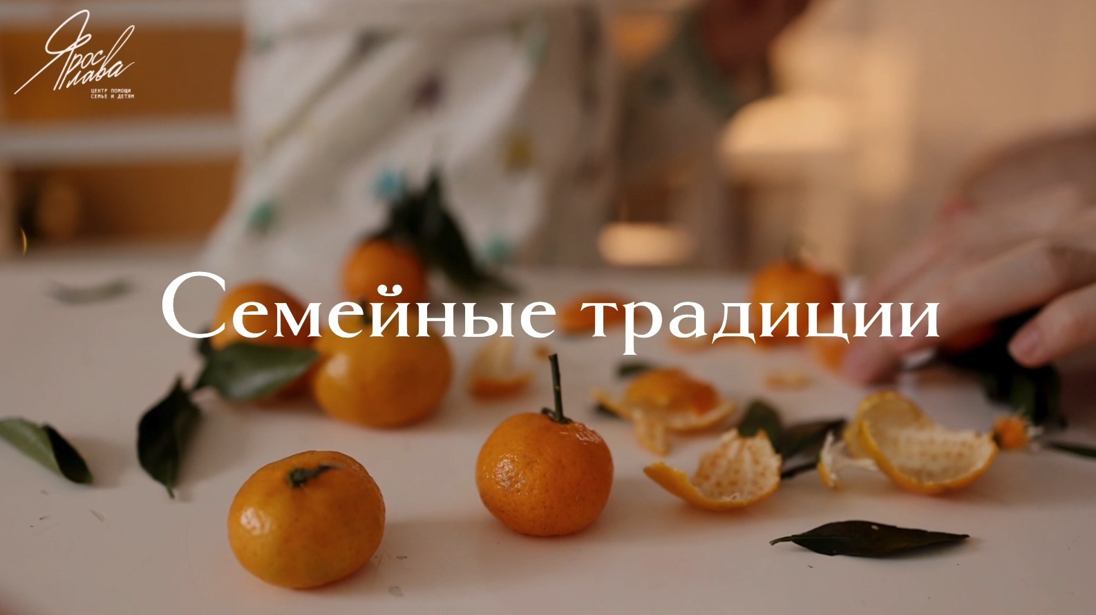 Семейное видео для гос. проектов по продвижению семейных ценностей. Фотограф и видеограф Елена Лисина