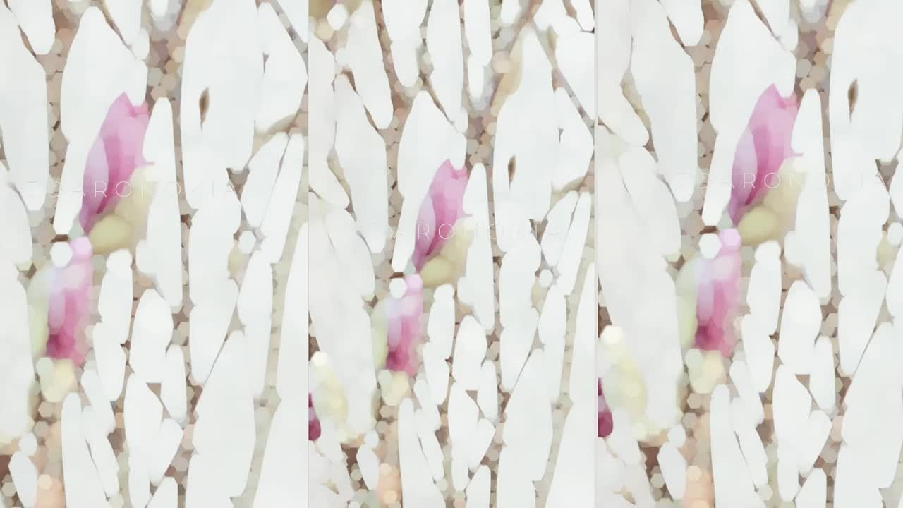 УСЛУГИ. ZDARONOKIA Репортажный фотограф