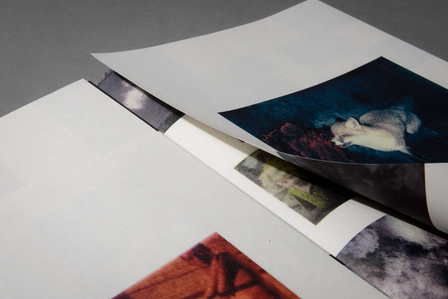 Книга Майкла Акермана (Michael Ackerman) «Hunger — Epilogue». Private image