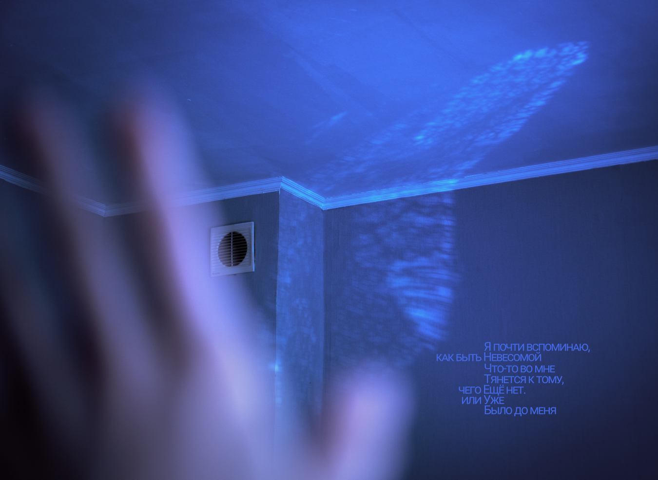 SECOND SKIN: THE WORLD UNFOLDING. JULIA EXISTO. Photographer & Visual Artist
