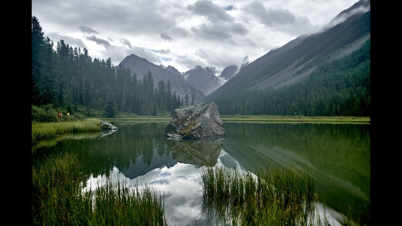 Видеоарт выставки Новосибирск Москва. Фотограф Видеограф в Новосибирске. Топовый профессиональный контент