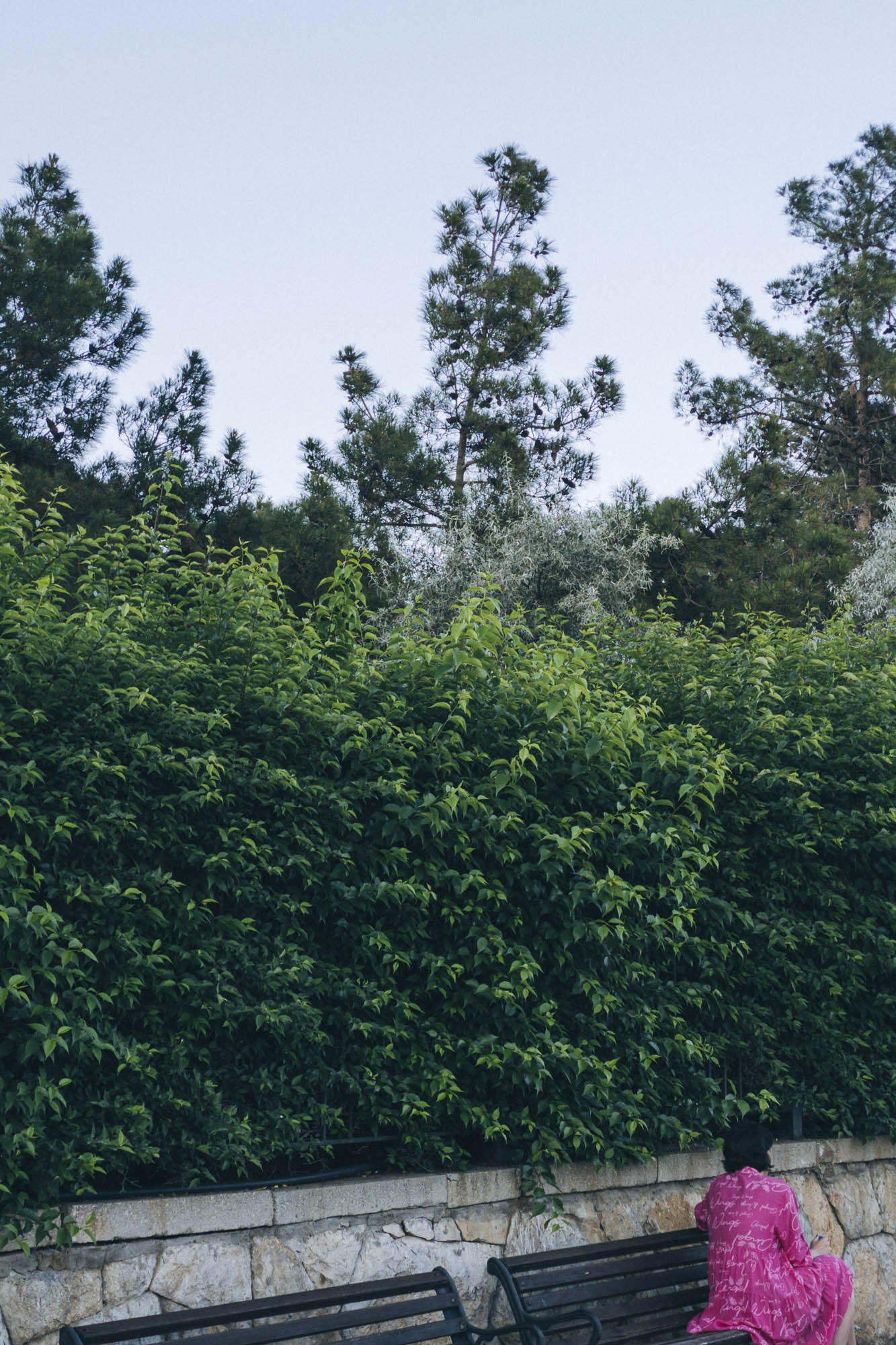 Визуальные заметки