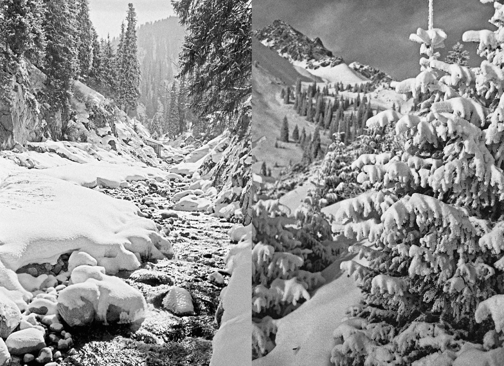 Коллекционные альбомы. ВАДИМ ГИППЕНРЕЙТЕР — ВЕЛИКИЙ ФОТОГРАФ ЗЕМЛИ РУССКОЙ