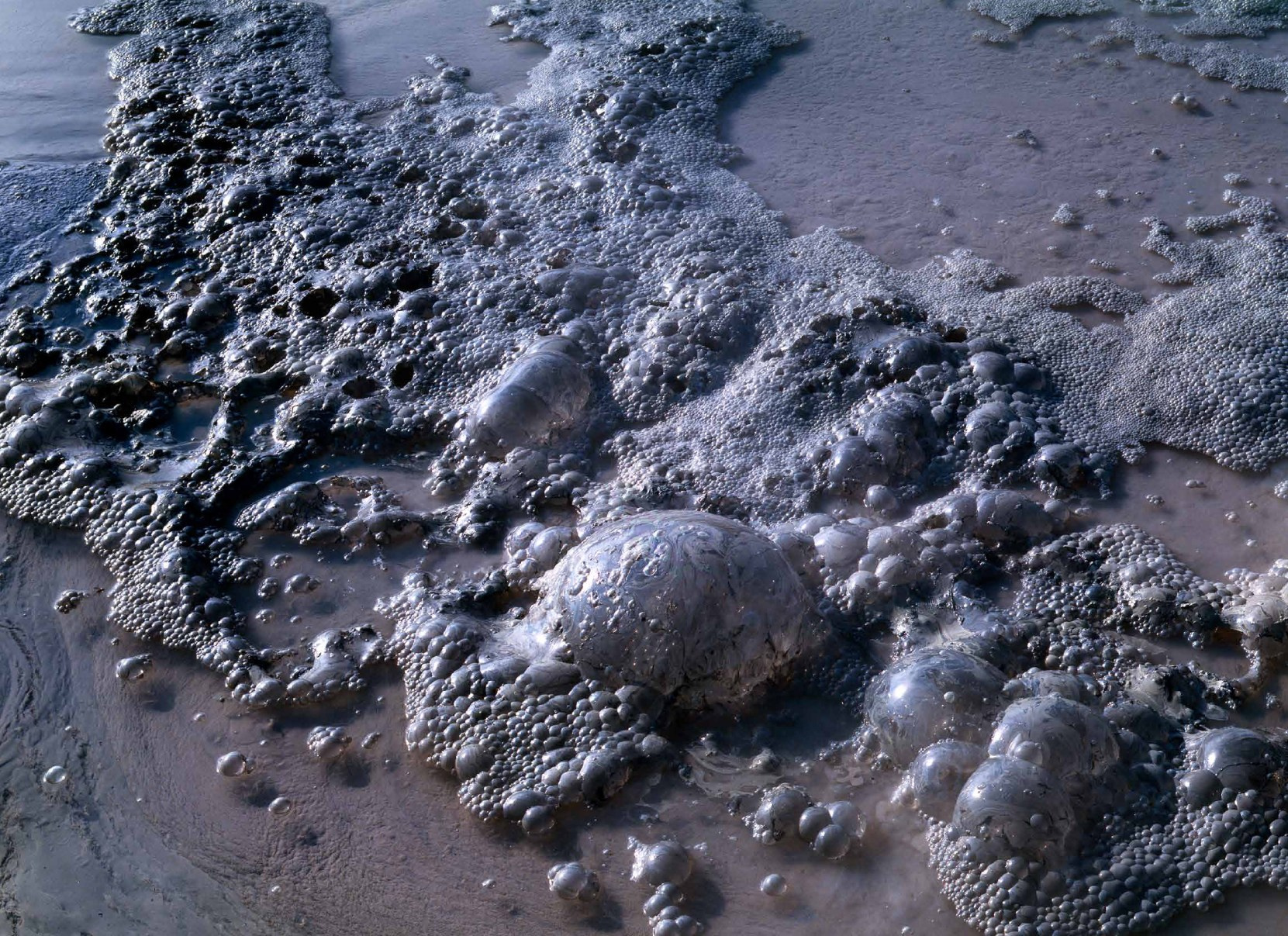 Коллекционные альбомы. ВАДИМ ГИППЕНРЕЙТЕР — ВЕЛИКИЙ ФОТОГРАФ ЗЕМЛИ РУССКОЙ