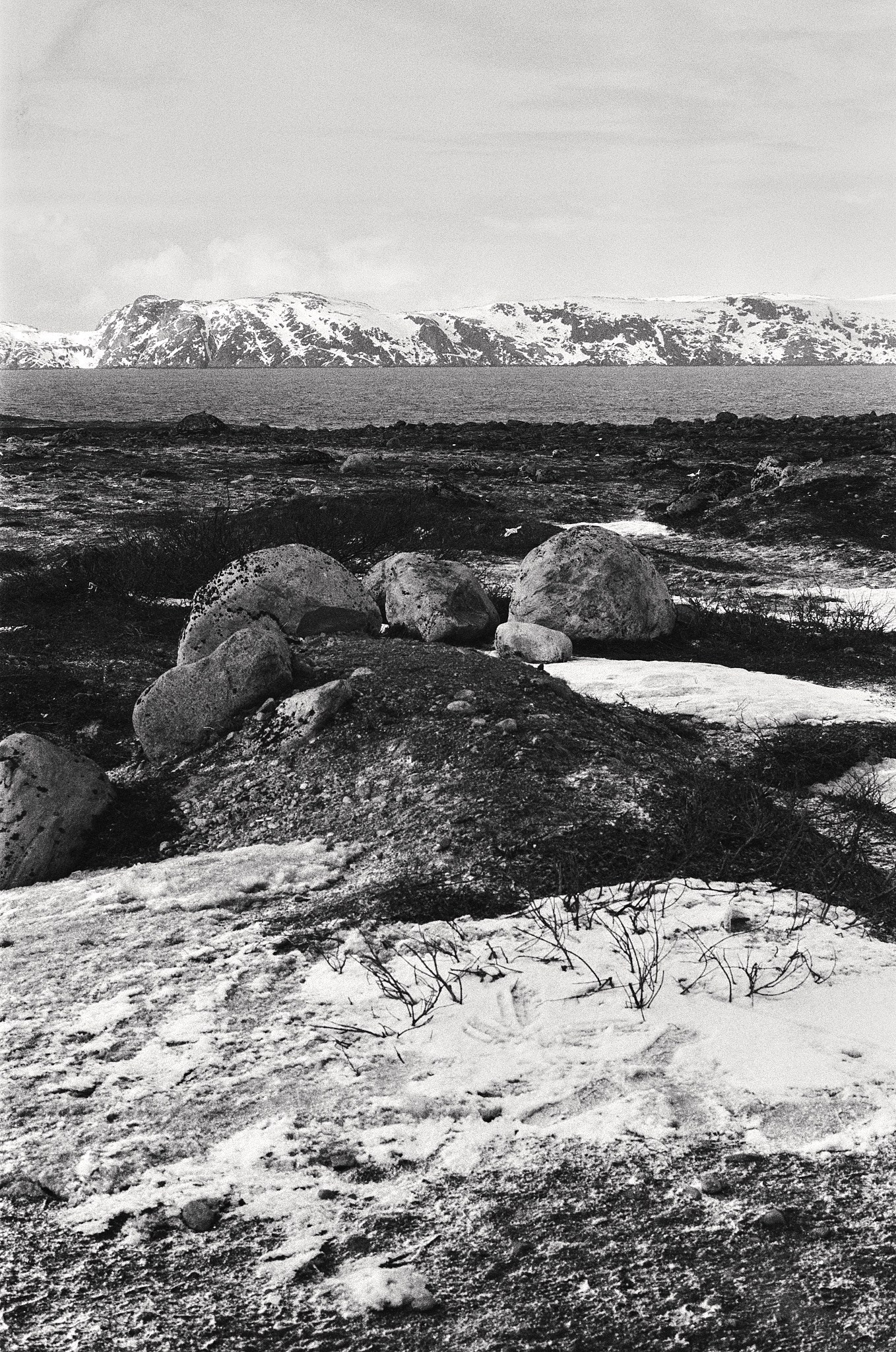 Teriberka (Murmansk). The Other Pavel Potseluev — film photography and mastery of meat business