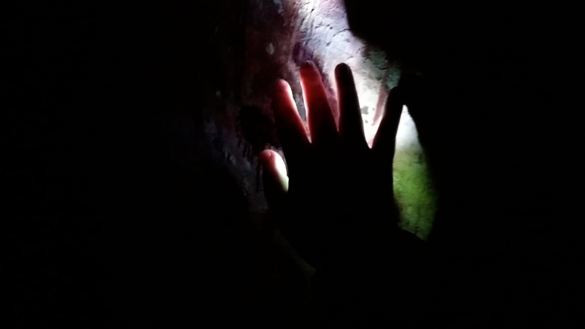 ๑ Привет, тебя нет. Дарья Пянзина | междисциплинарная художница