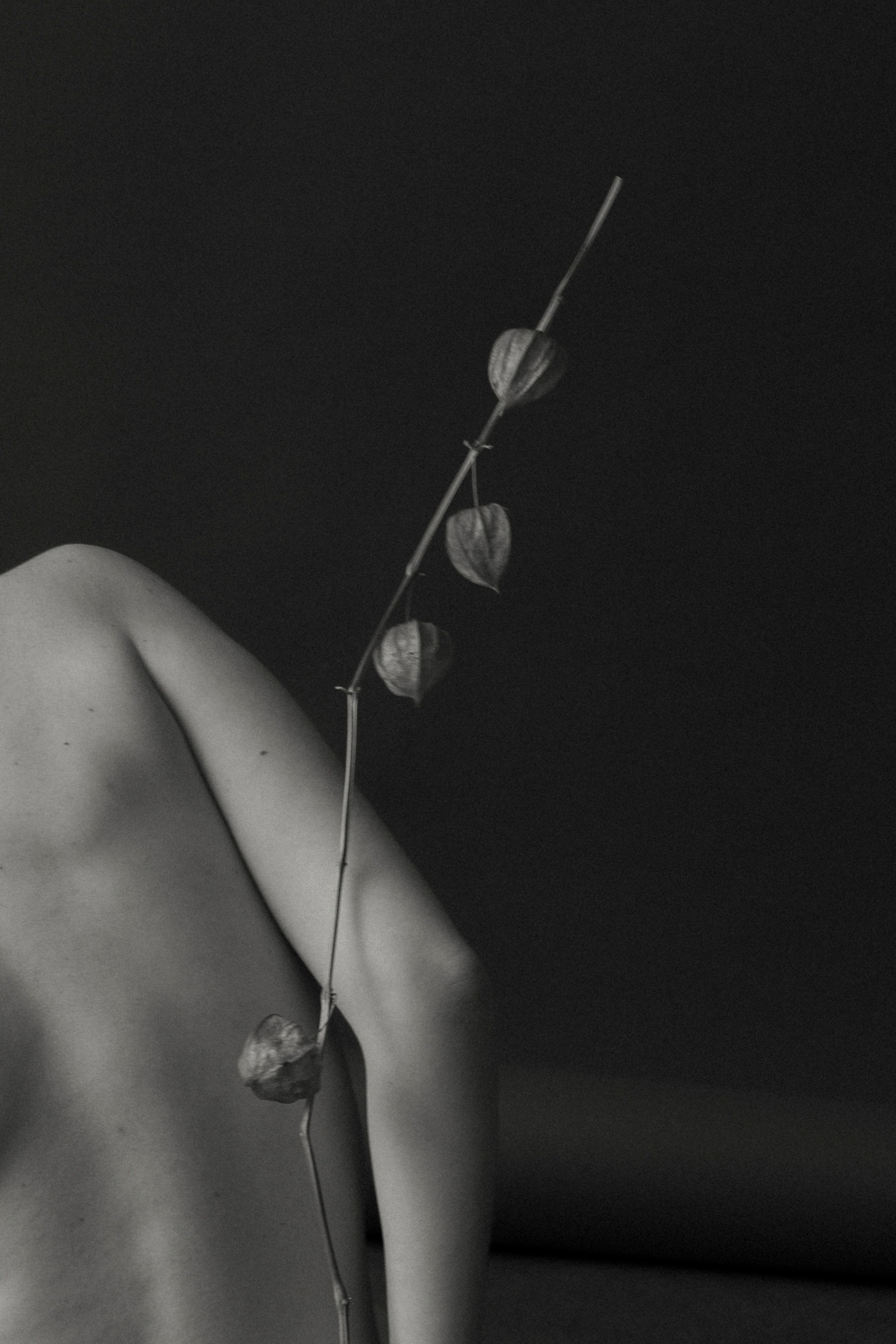 Персональная съемка. Фотограф Злата Спицына