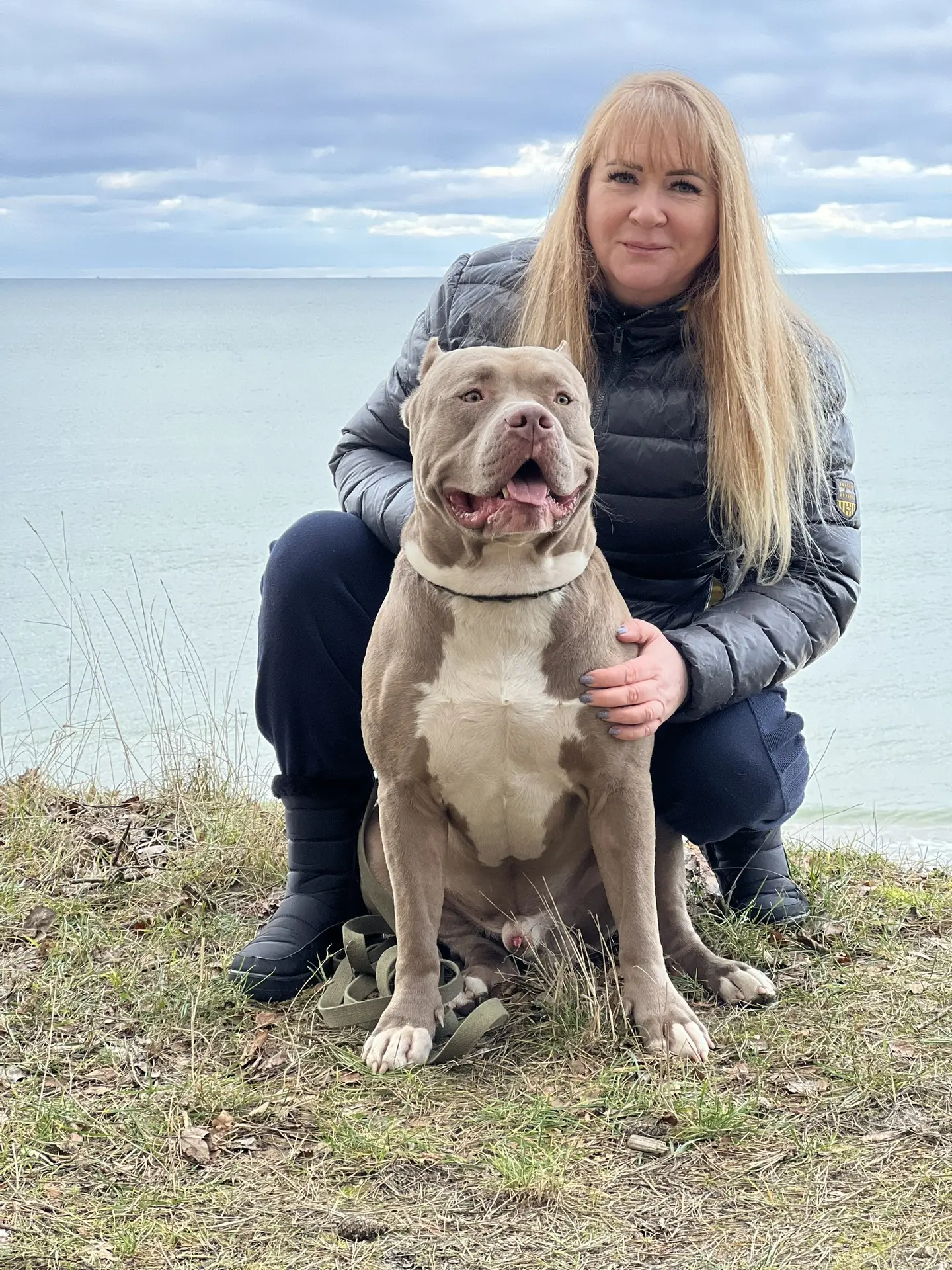 GBU JEDI. Американские булли XL в г. Калининград. Питомник Great Bully UNIVERSE