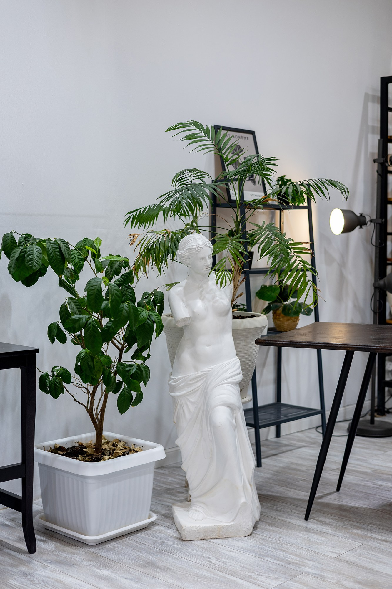 Зал Олива. Фотостудия Михеев Продакшн